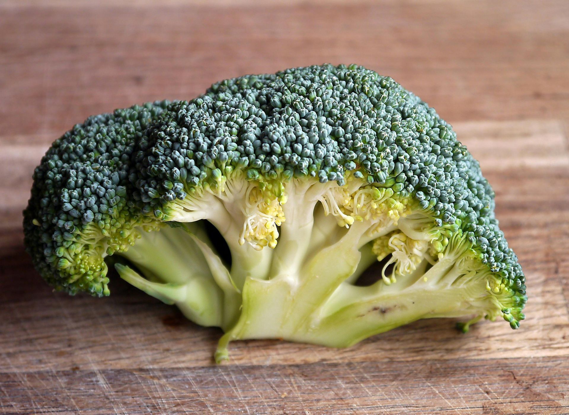 Cross-section of broccoli head on a wooden surface, showing dark green florets and pale green stem.