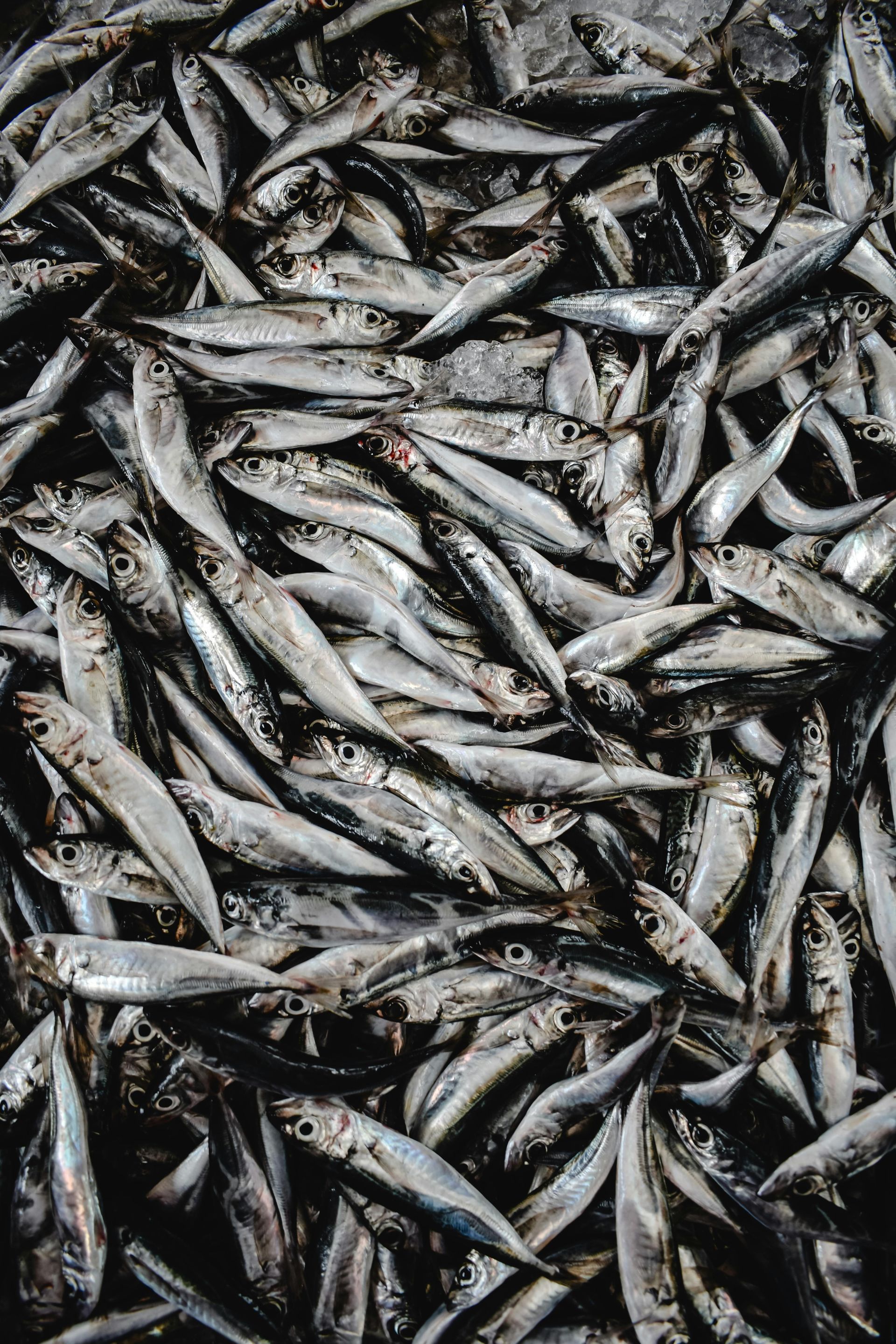 White background with a mix of light brown and speckled quail eggs.
