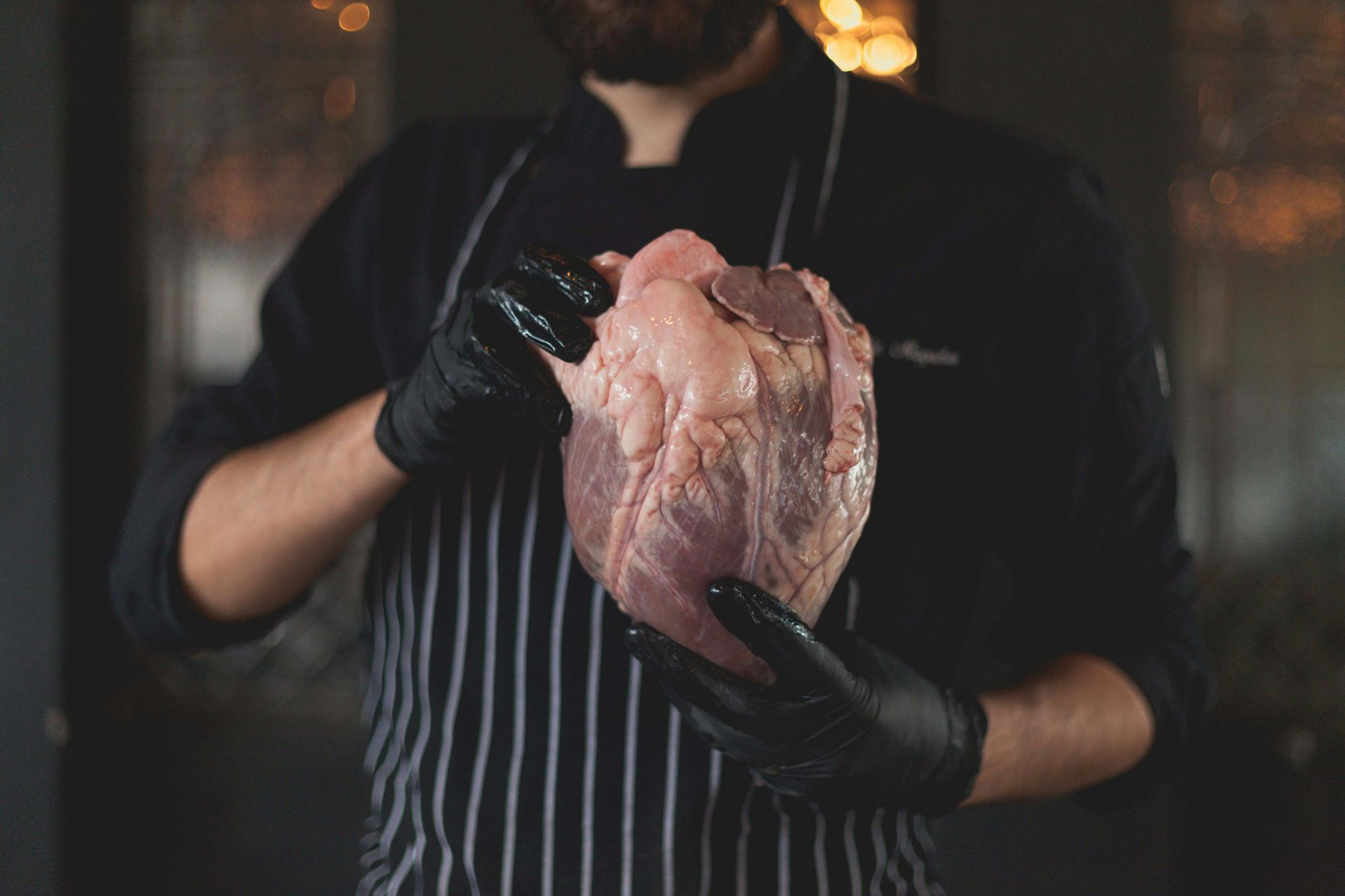 Chef in black apron holds a raw beef heart with gloved hands.