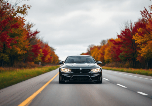Prepare Your European Vehicle for Fall Driving Conditions