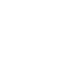 Handicap Icon