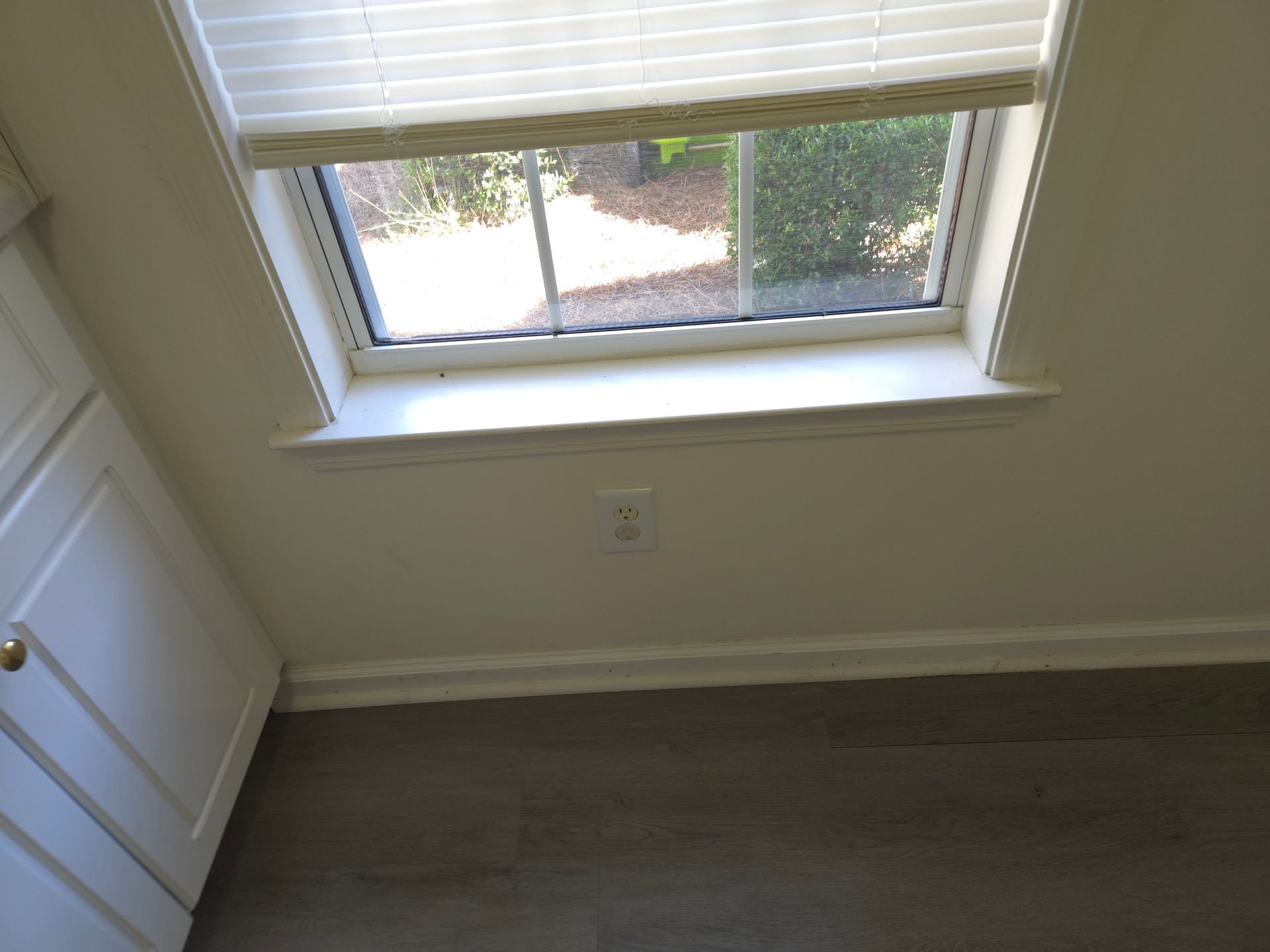 A window with a view of greenery, above a baseboard and a light-colored electrical outlet on a wall.
