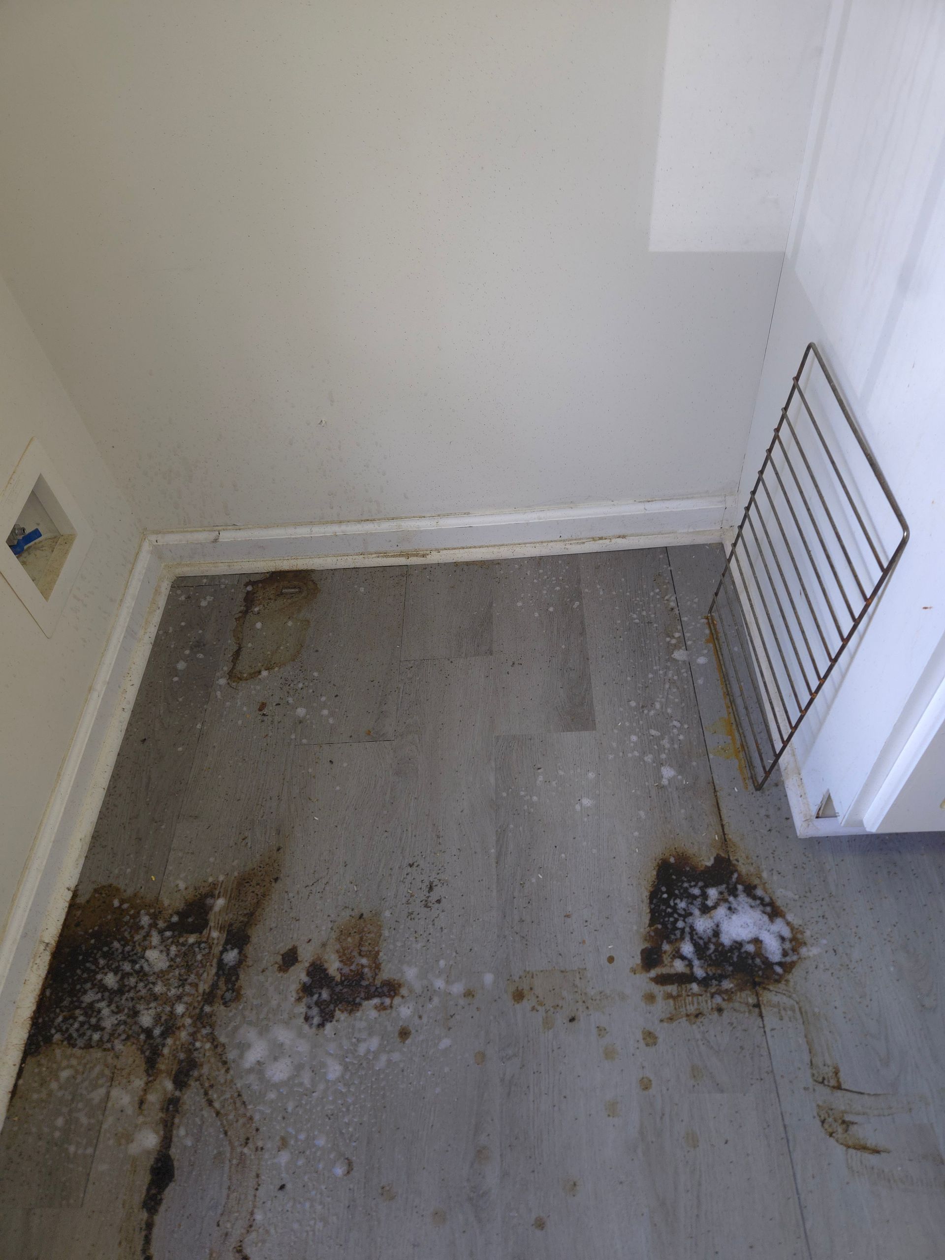 Dirty laundry room with grey flooring, stains, and a metal rack. White walls with a washing machine hookup.