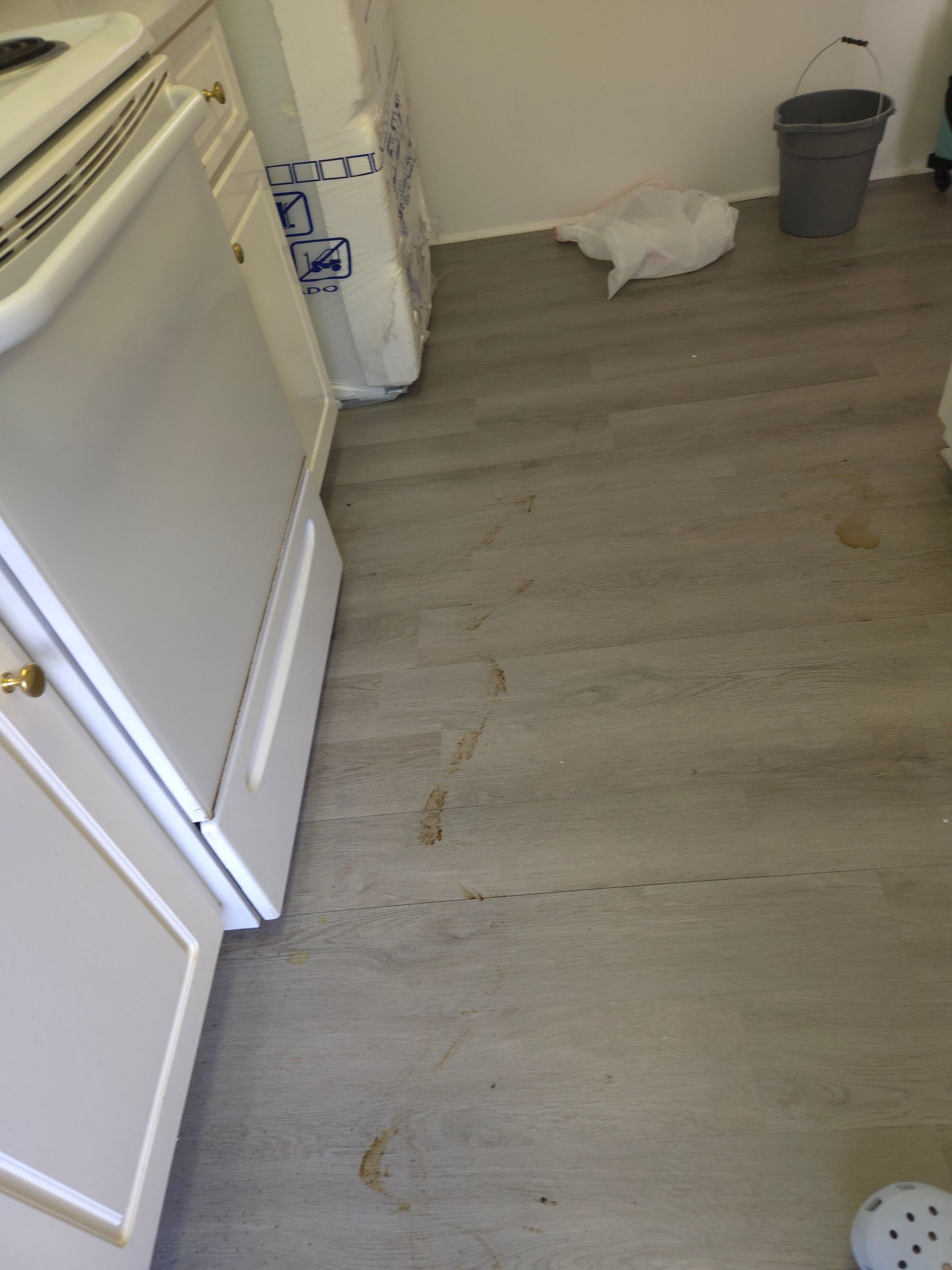 Kitchen floor wood-look vinyl planking. Cabinets and an appliance are in view. There is a bucket and trash bag on the floor.