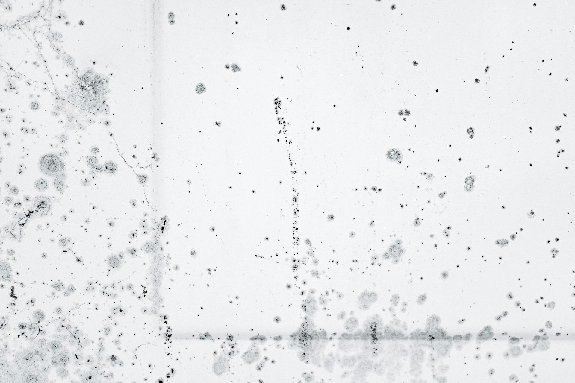 A close up of a white wall with black spots on it.