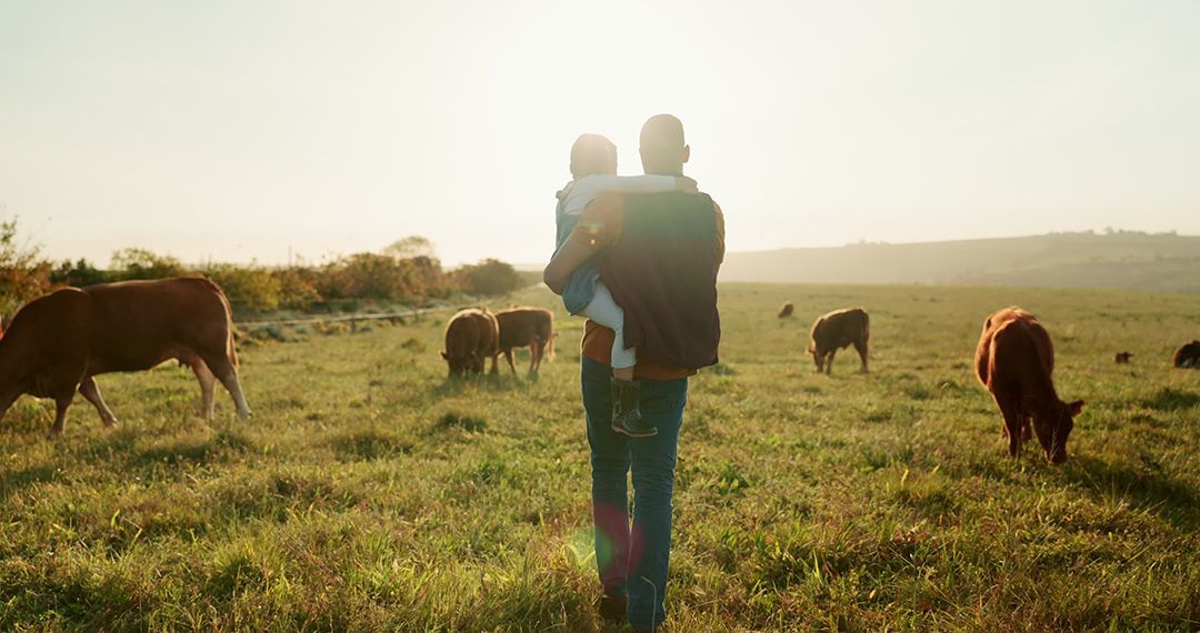 a man is holding a baby in a field of cows .