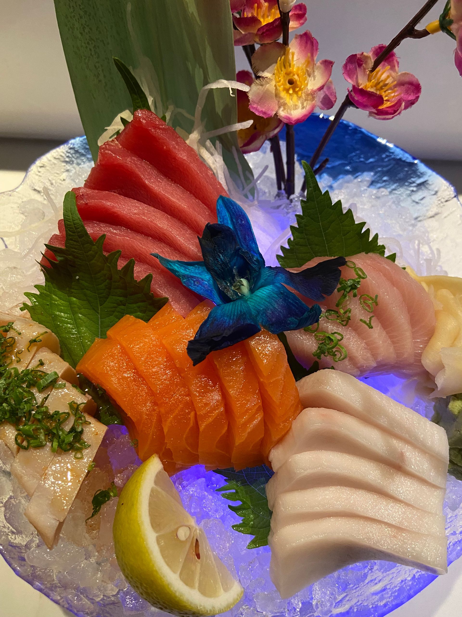 A plate of sushi with a blue flower on top | Cherry Hill, NJ | Mikado
