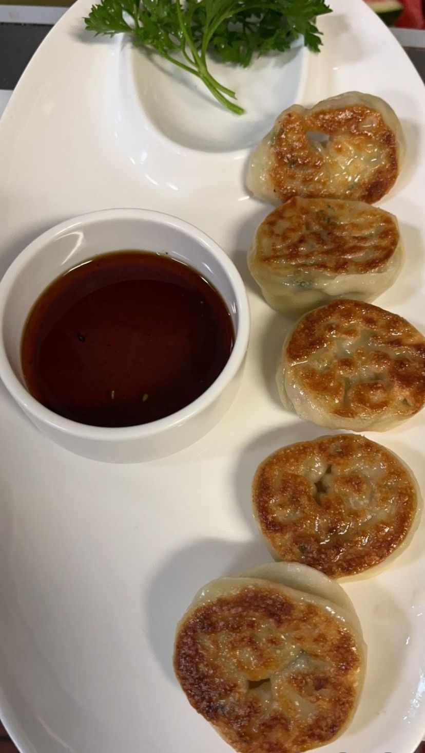 Fried dumplings and dipping sauce | Cherry Hill, NJ | Mikado