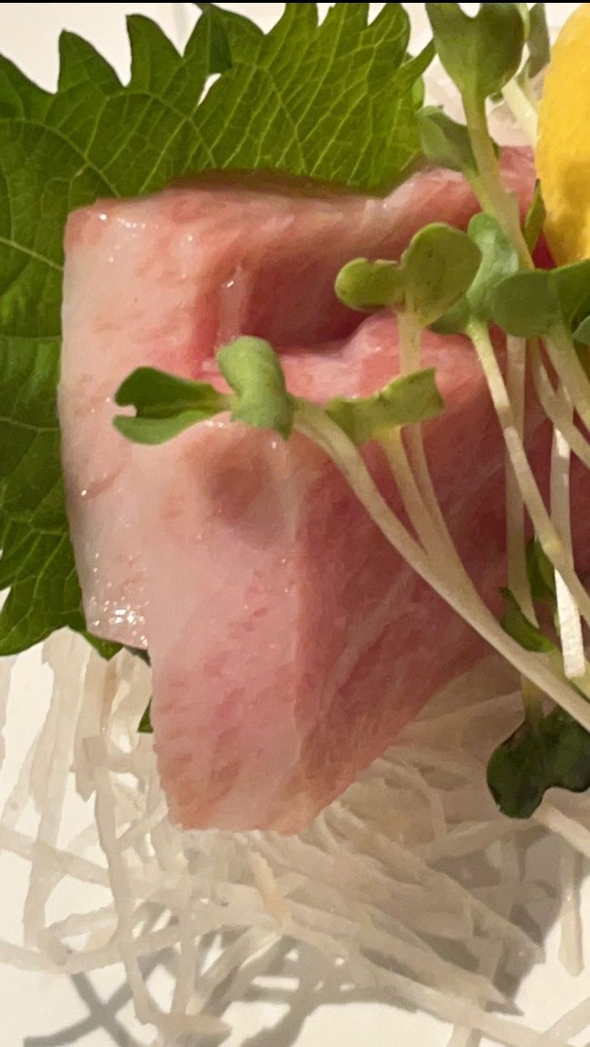 Piece of meat on a plate | Cherry Hill, NJ | Mikado