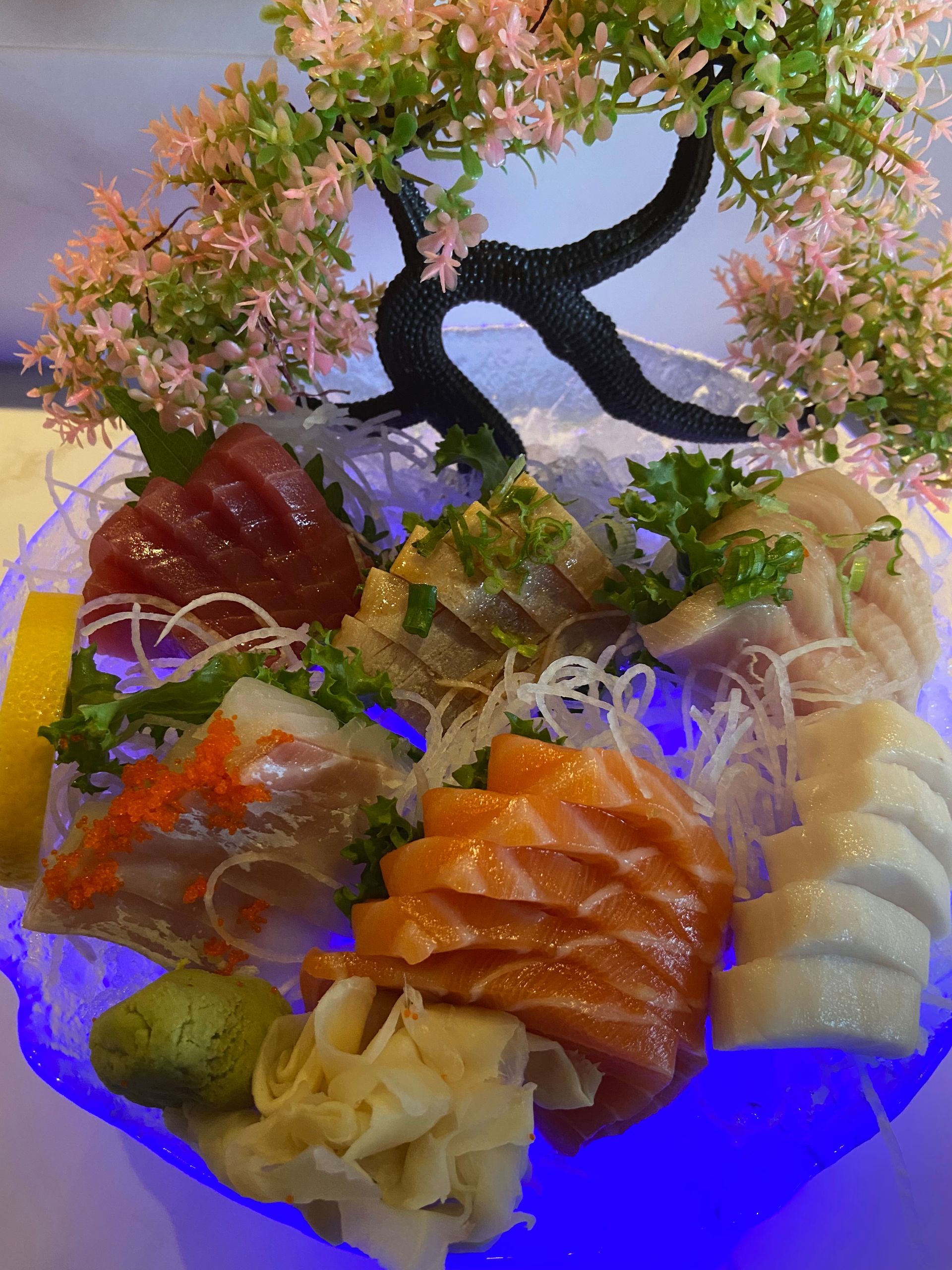 A plate of sushi with a bonsai tree in the background | Cherry Hill, NJ | Mikado