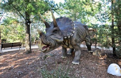 A statue of a triceratops is standing in the woods.