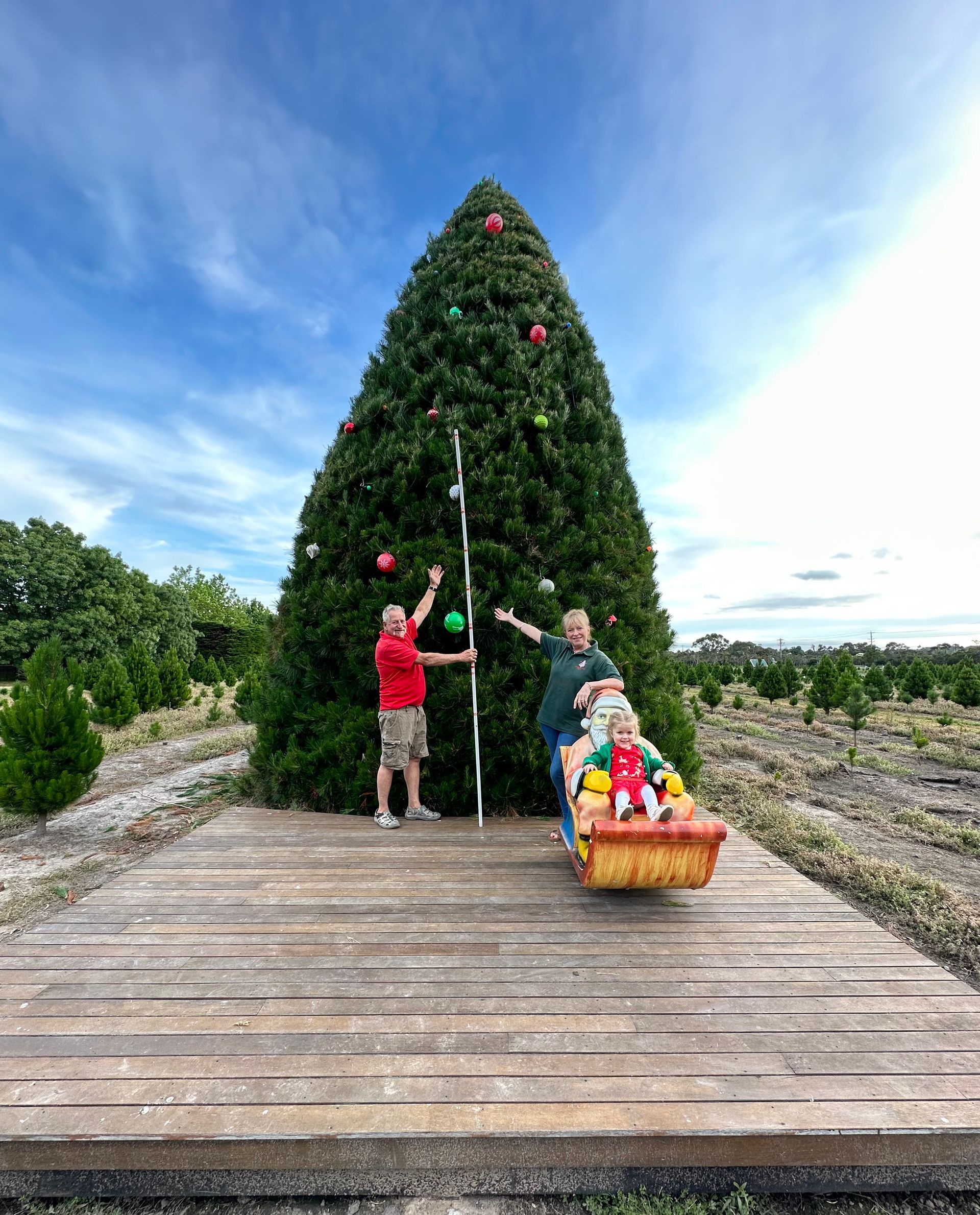 A family is standing in front of a large christmas tree.