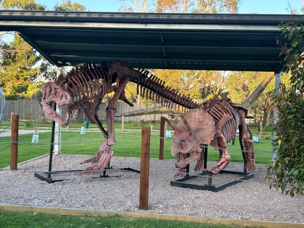 Two dinosaur skeletons are sitting under a canopy in a park.