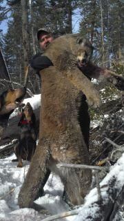 A man is holding a large bear in his arms in the snow.