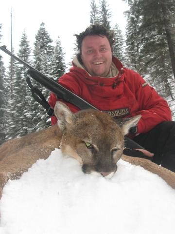 Mountain Lion