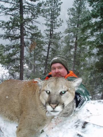 A man is posing with a mountain lion in the snow