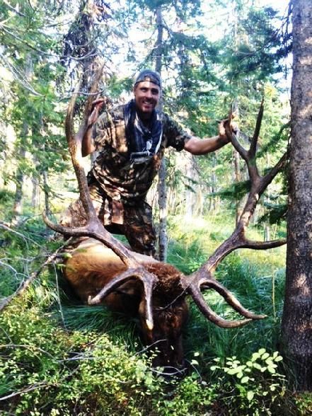A man is standing next to a large deer in the woods.