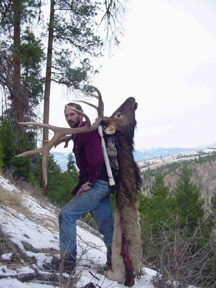 A man is carrying a large deer on his back