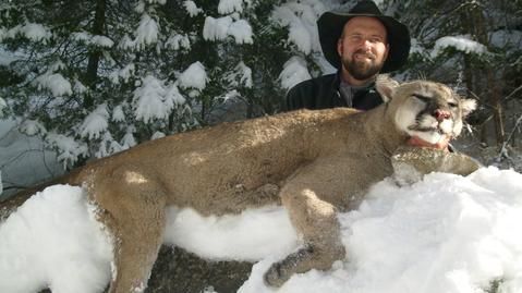 A man standing next to a mountain lion in the snow