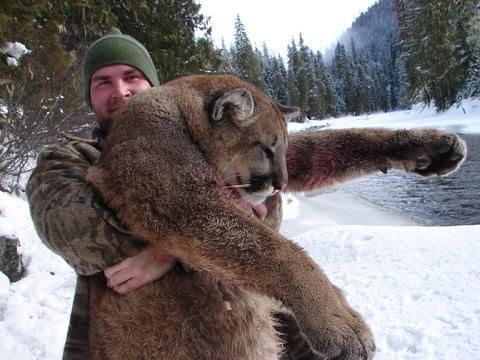 A man is holding a mountain lion in his arms