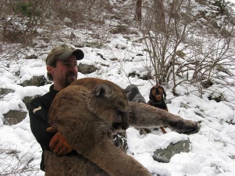 A man is holding a mountain lion in his arms in the snow