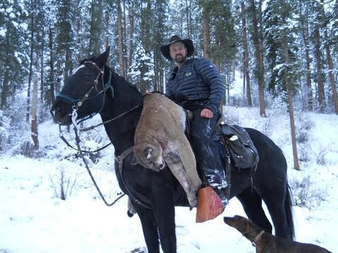 A man is riding a horse with a mountain lion on his back.