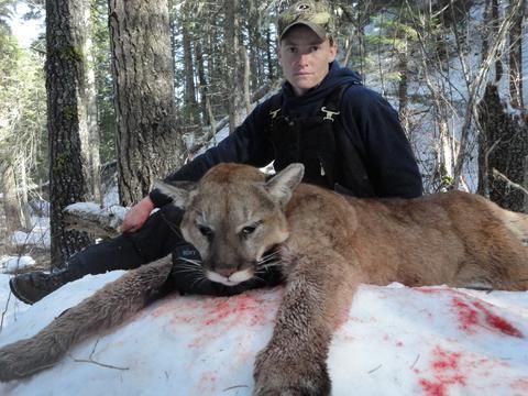 A man is kneeling next to a mountain lion in the snow