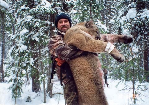 Mountain Lion