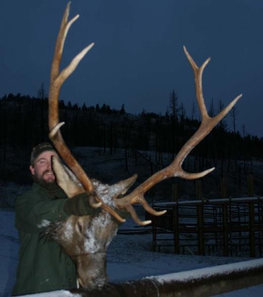 A man in a green jacket holds a large deer in his arms