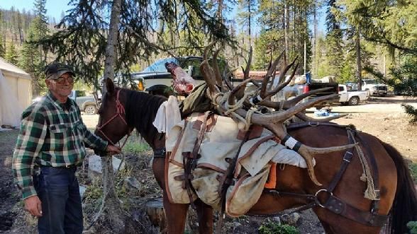 A man is standing next to a horse with antlers on it.
