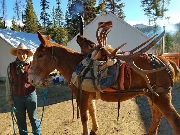 A man standing next to a horse with antlers on it