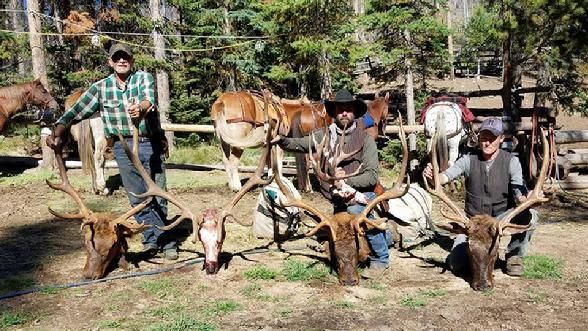 Three men are standing next to each other holding deer heads.