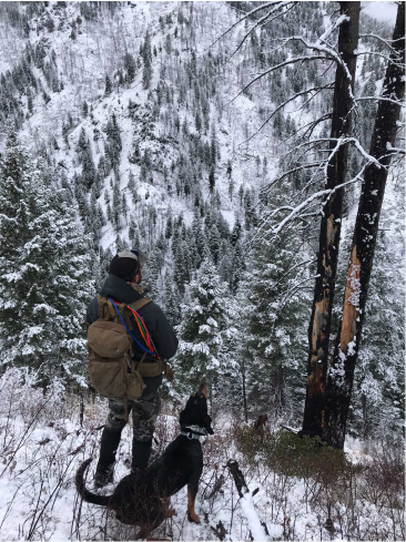 A man and a dog are standing in the snow near a tree.