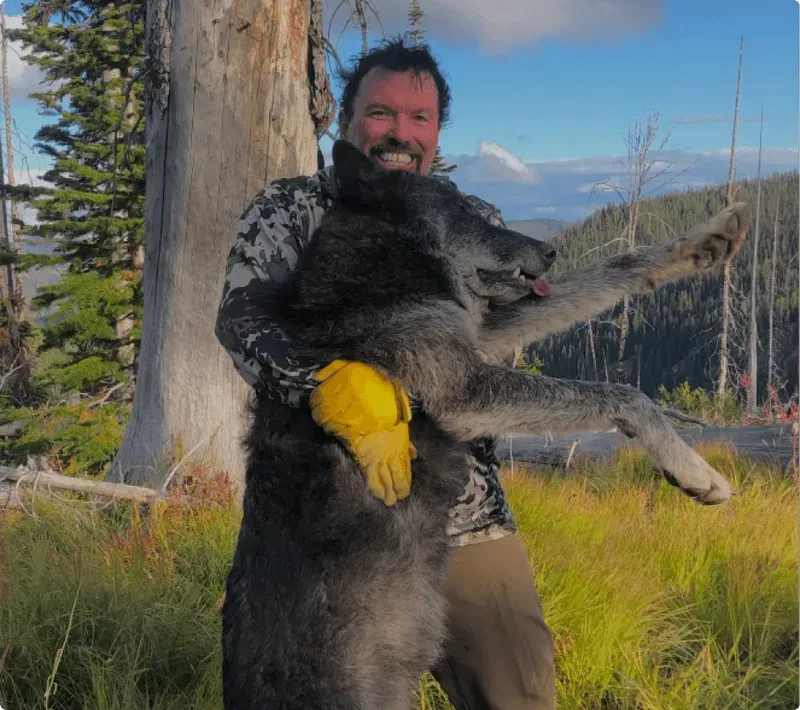 A man is holding a large wolf in his arms in a field.