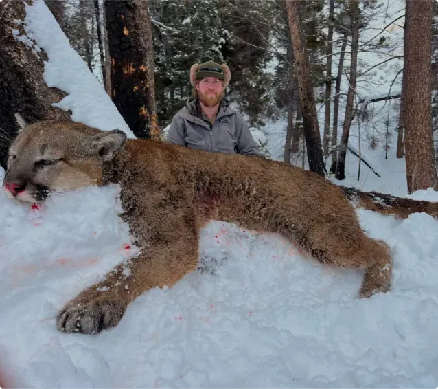 A man standing next to a mountain lion in the snow