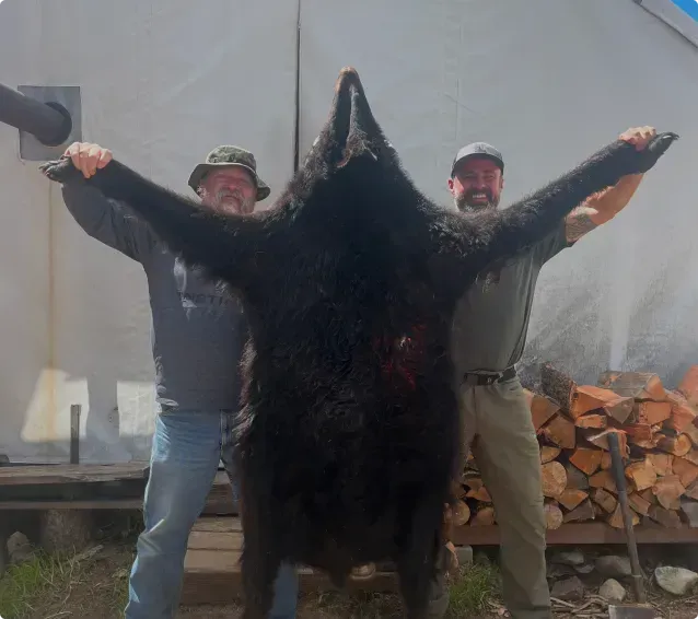 Two men standing next to a large black bear