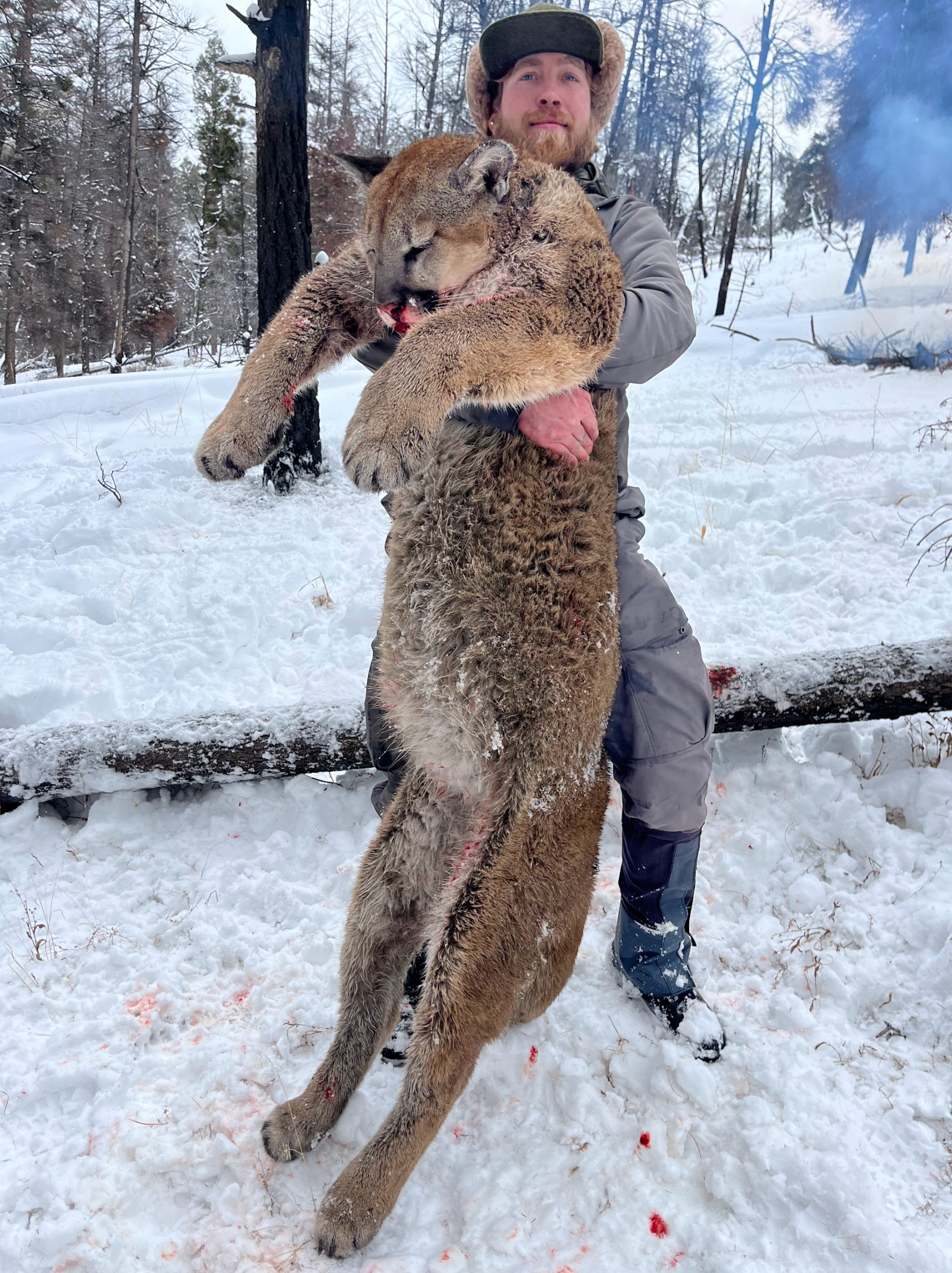 A man is holding a large cat in his arms in the snow.