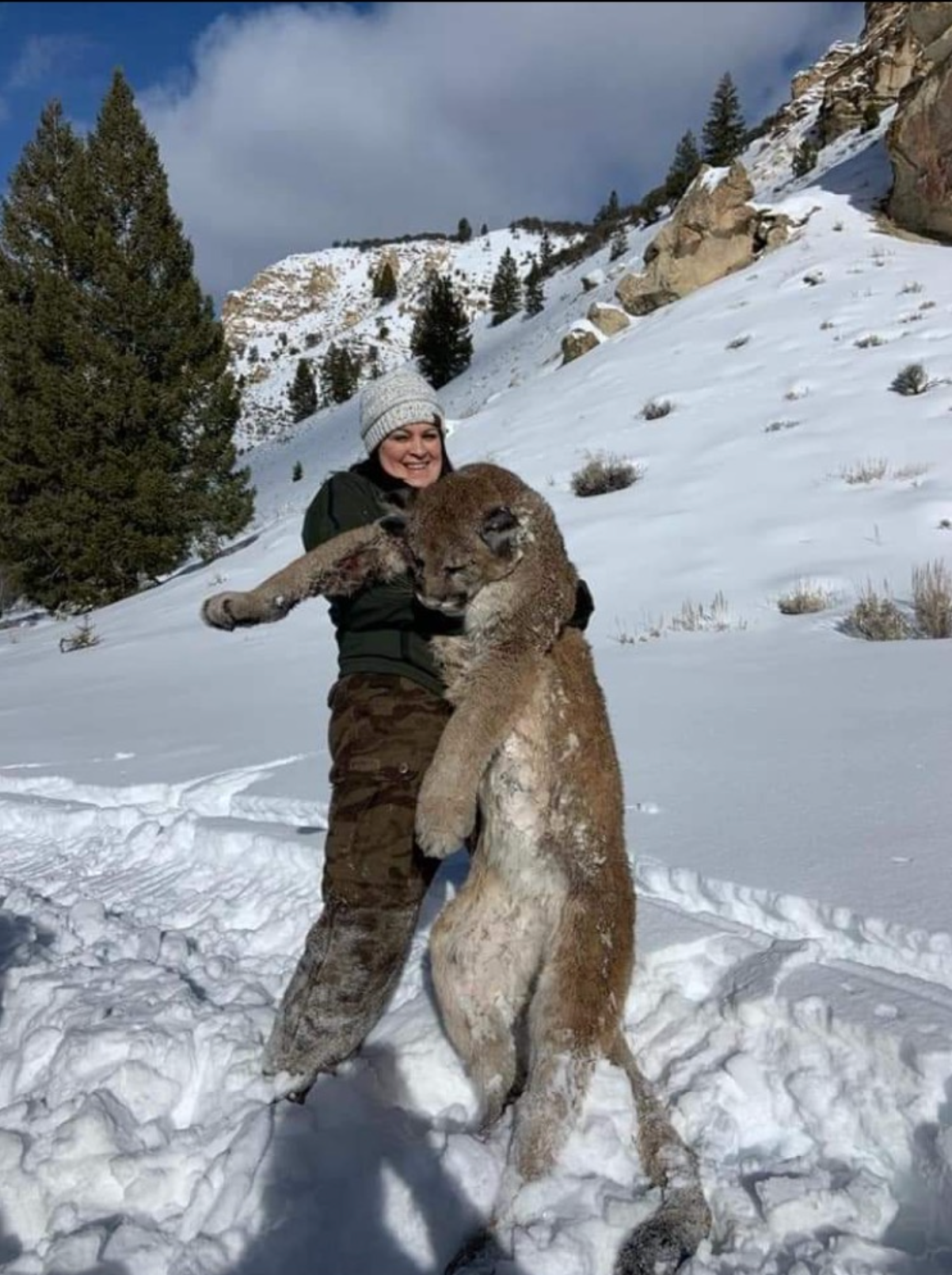 A woman is holding a mountain lion in the snow.