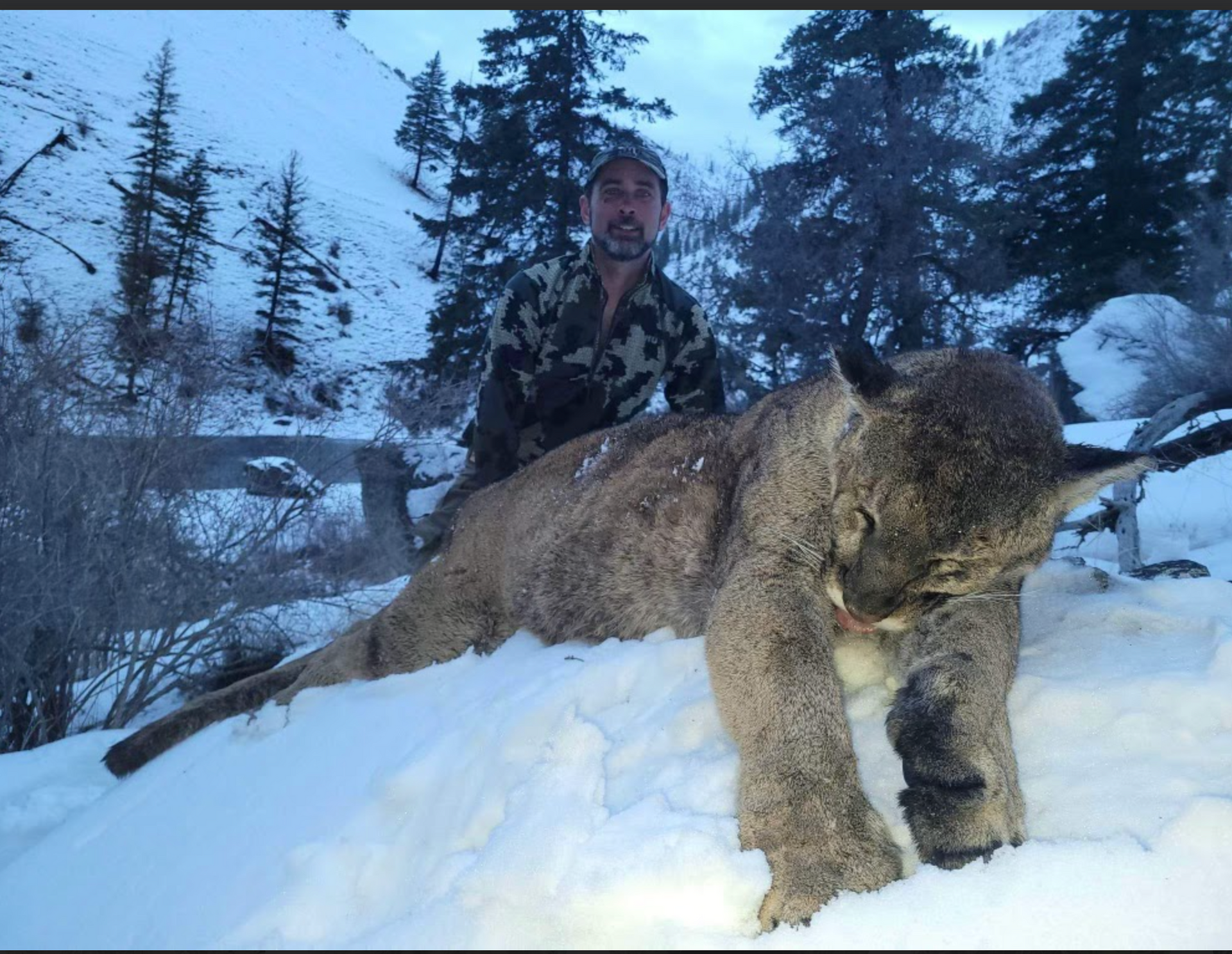A man standing next to a lynx in the snow