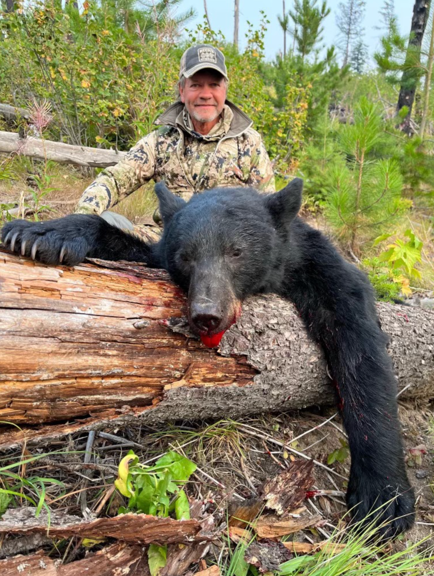 A man is standing next to a black bear that is laying on a log.