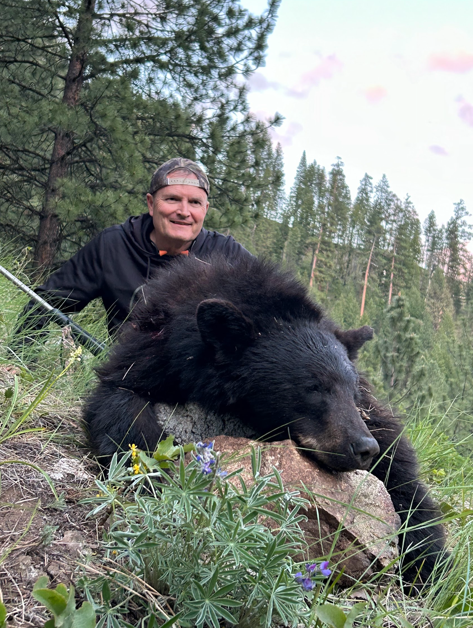 A man is standing next to a large black bear.