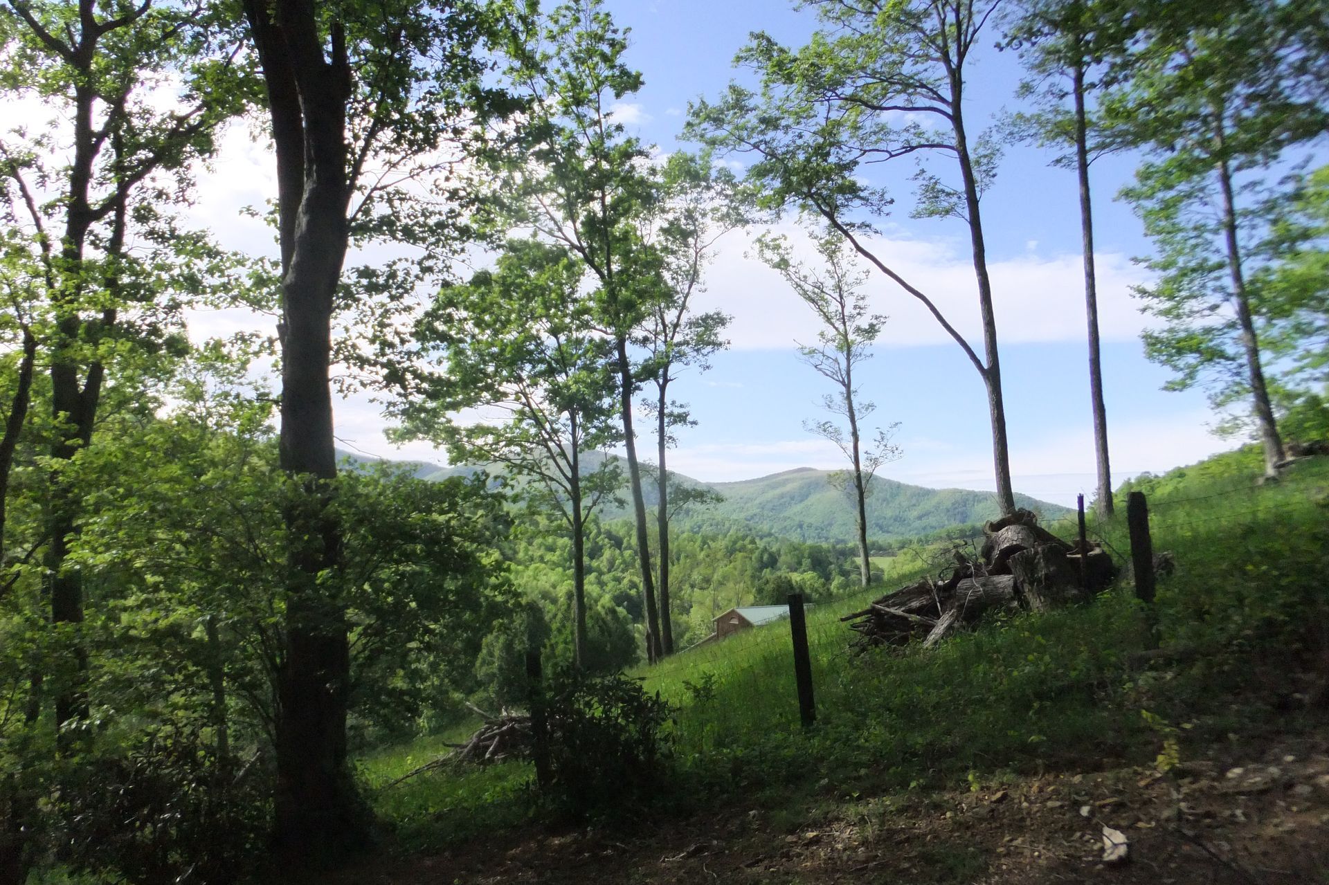 A fence surrounds a lush green forest with mountains in the background