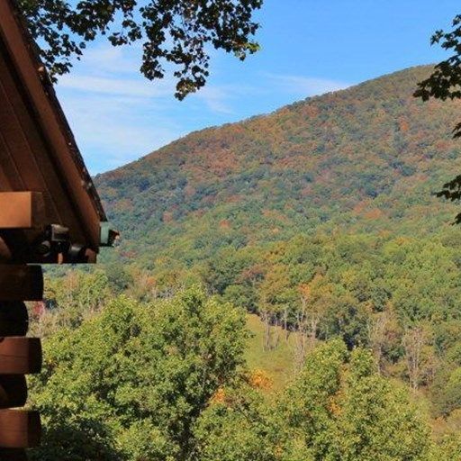 A log cabin with a view of a forest and mountains.