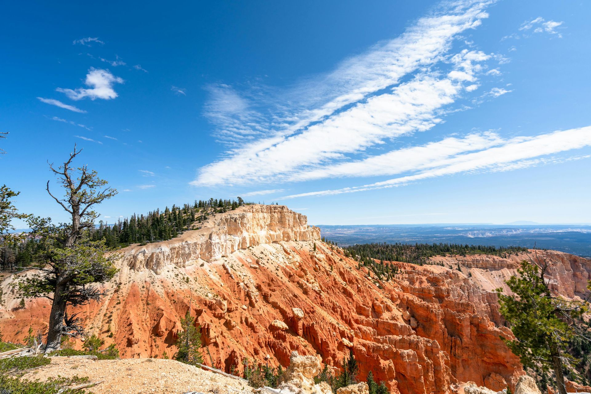 Red rock formations and green trees under a bright blue sky with white clouds.