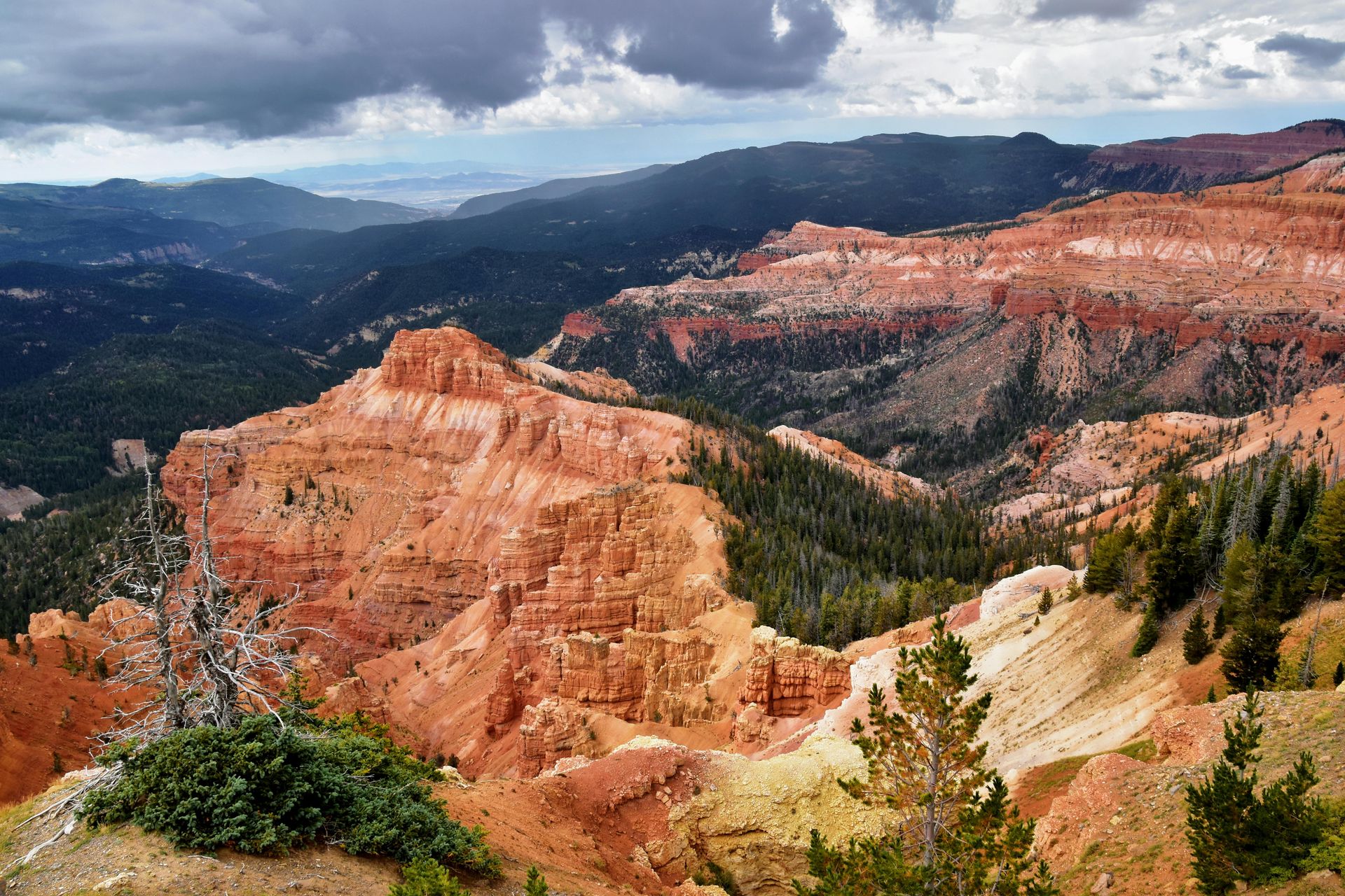 Red rock canyon landscape under a cloudy sky, with pine trees in the foreground and a distant valley.