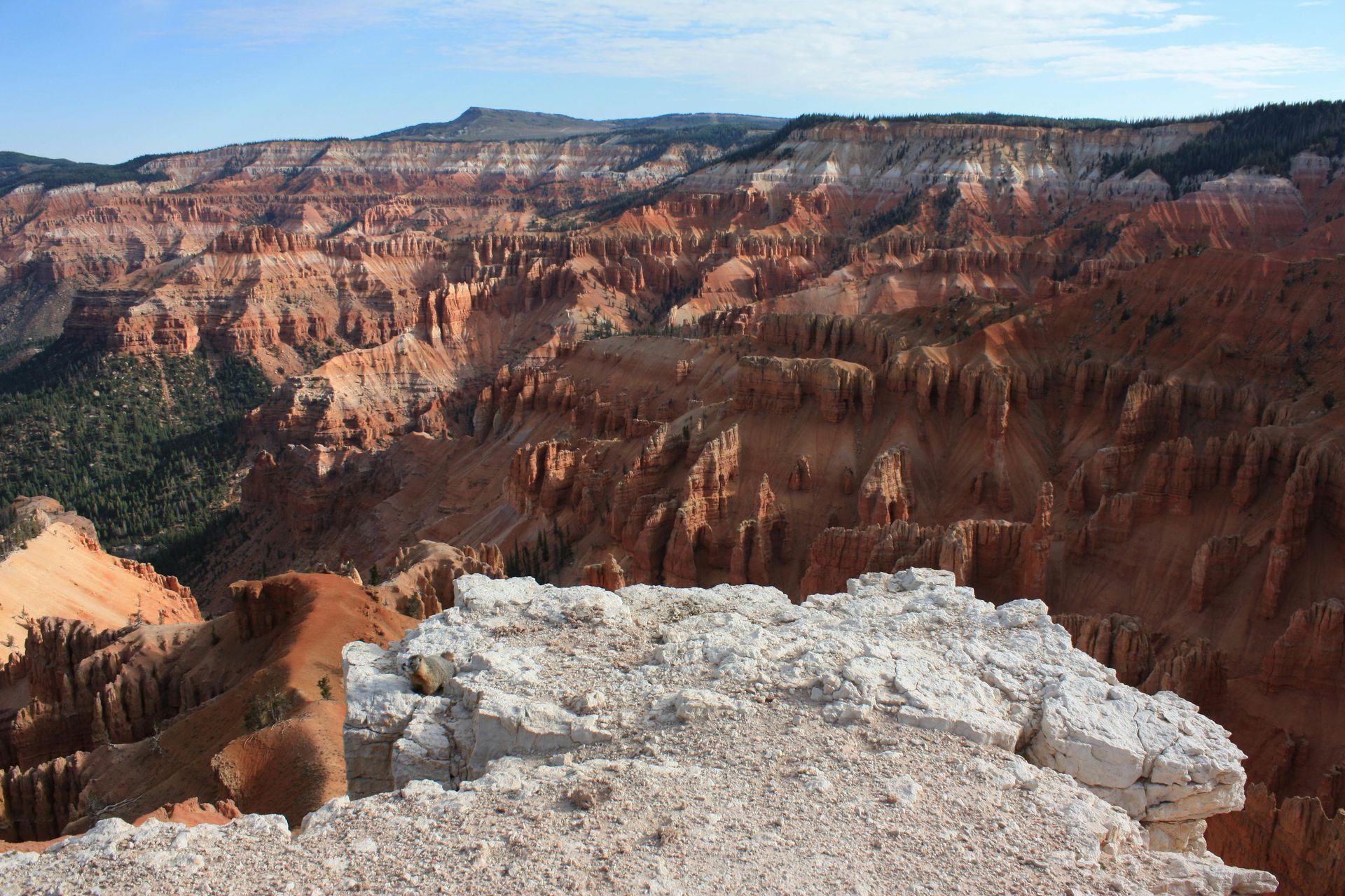 Red and white rock formations in a canyon with a clear blue sky.