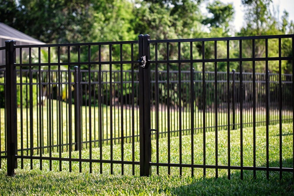 Black Metal Fence in a Grassy Yard, With Trees Visible in the Background — Trade Fencing Supplies in Moolap, VIC