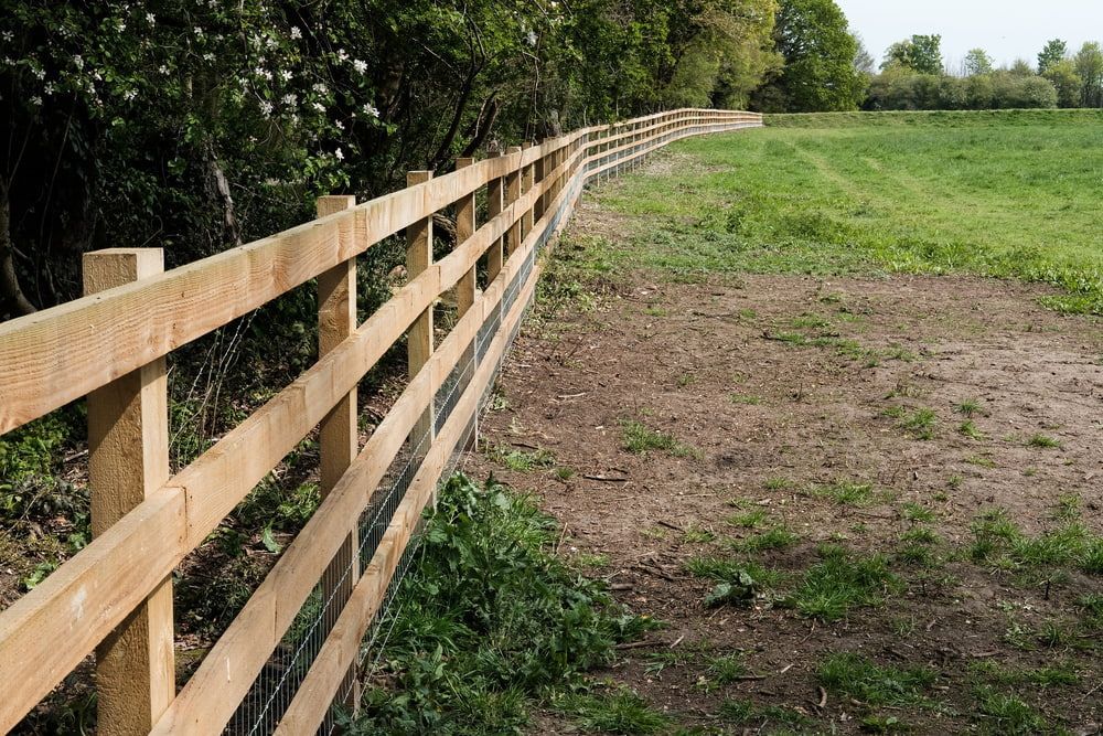Wooden Fence Bordering a Grassy Field, Trees in the Background — Trade Fencing Supplies in Moolap, VIC
