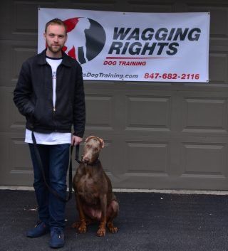 DOG TRAINING PROGRAMS | Wagging Rights Dog Training