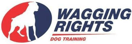 Dog Trainer | Wagging Rights Dog Training